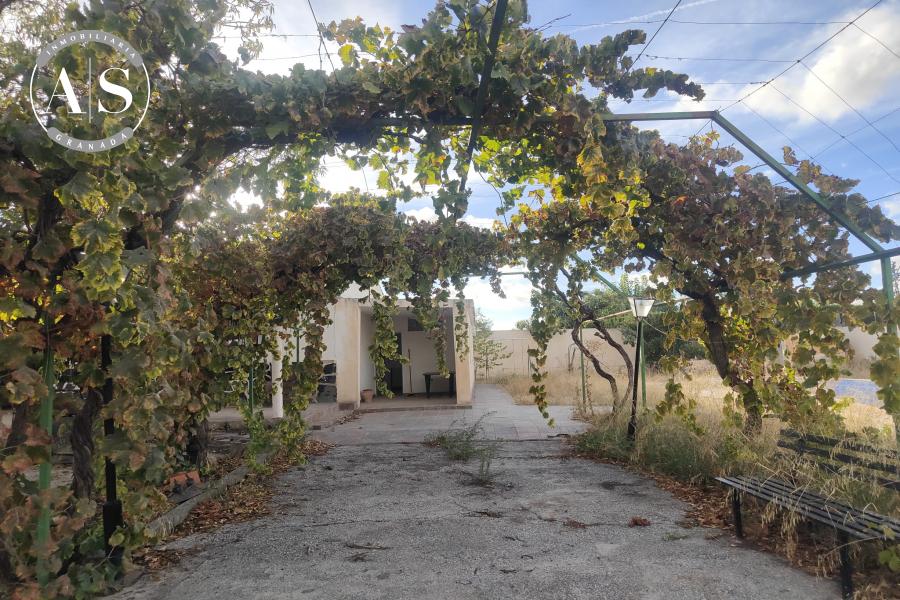 FINCA EN MORALEDA ZAFAYONA